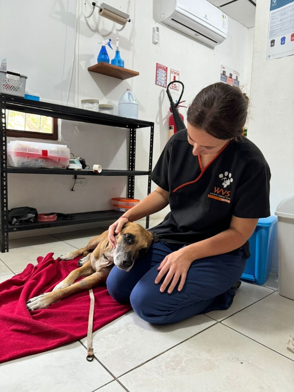 How We Help