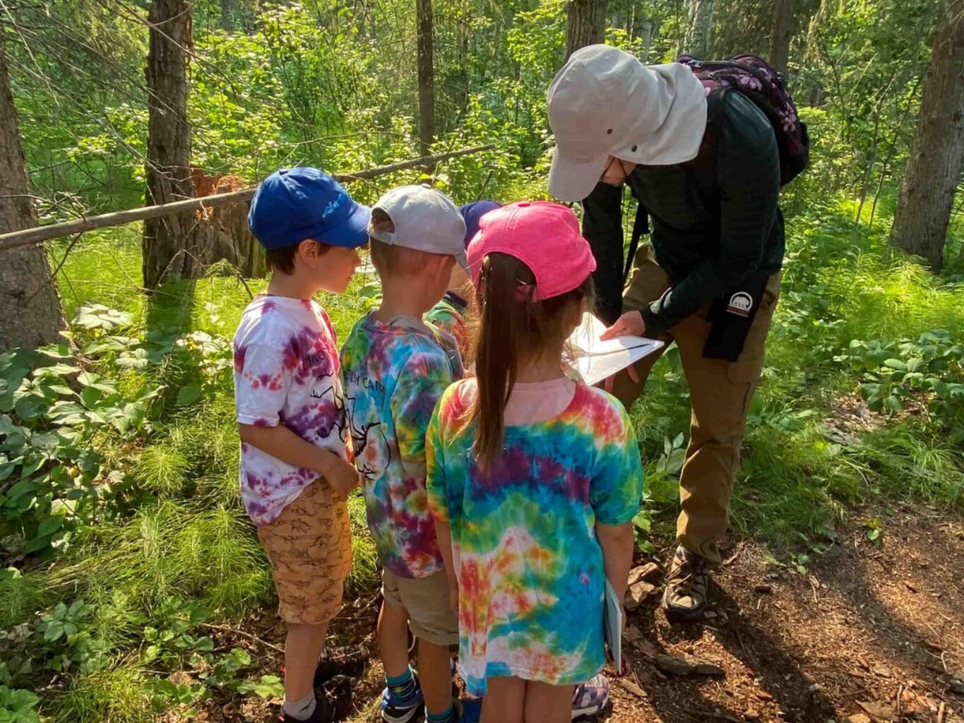 Dino Summer Camps