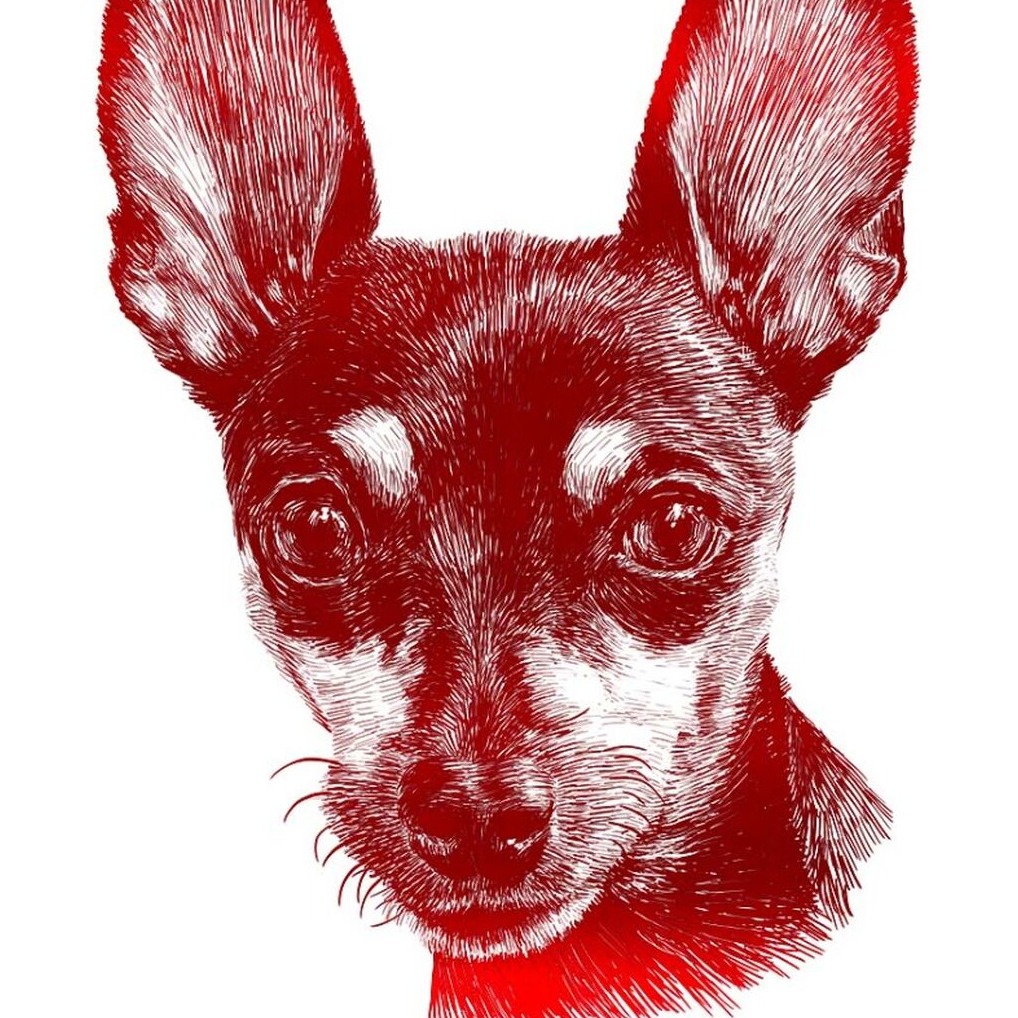Custom Foiled Pet Portraits