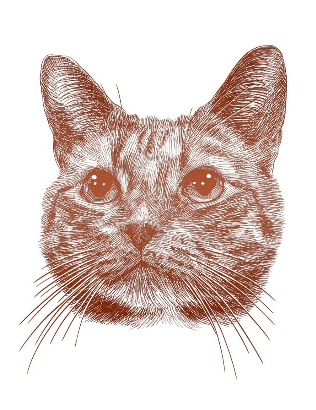 Cat Prints