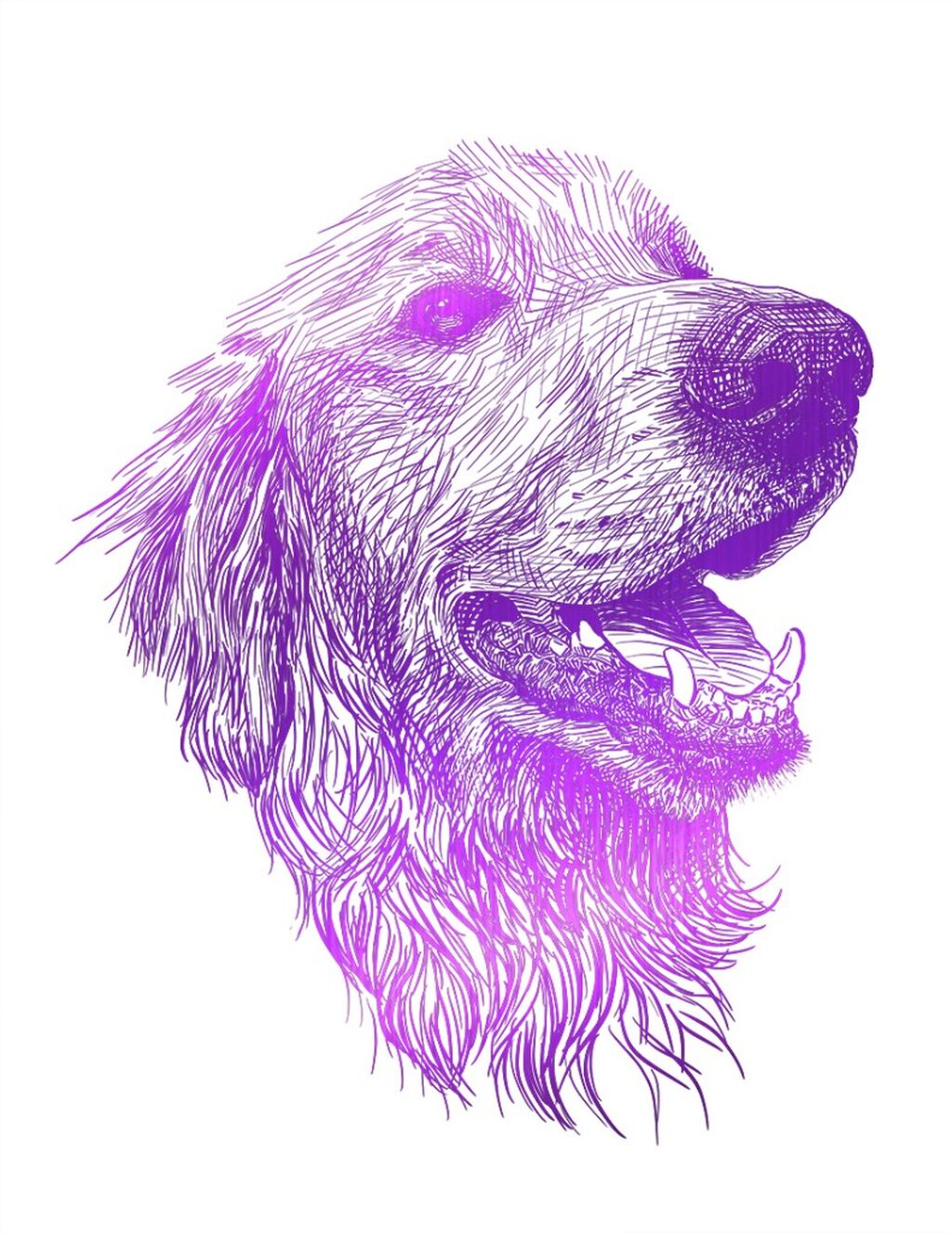 Dog Prints
