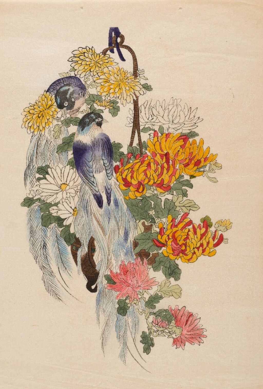 Current Exhibitions