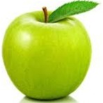 Child Nutrition Department, Lunch Menus, Adding Money to your Account
