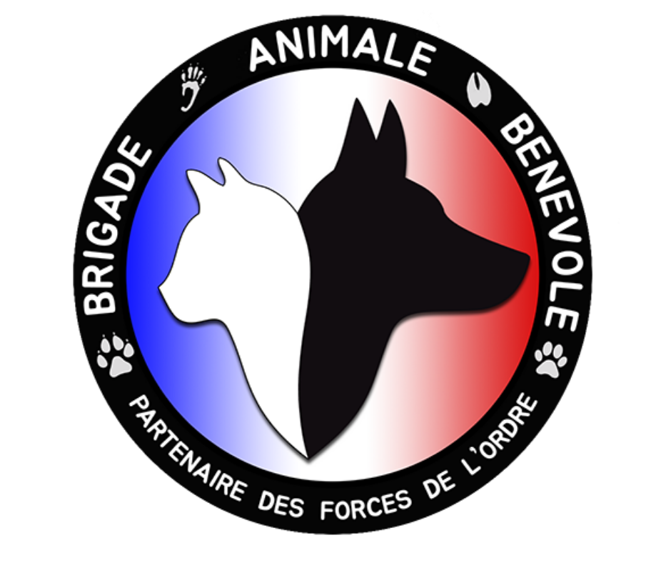 Notre site internet 