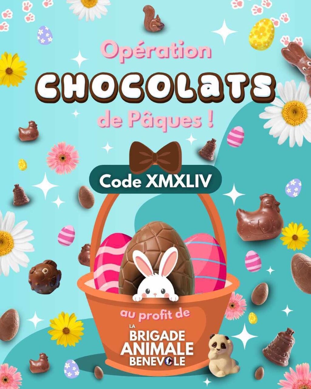 🍫 Vente de chocolats ! Code : XMXLIV
