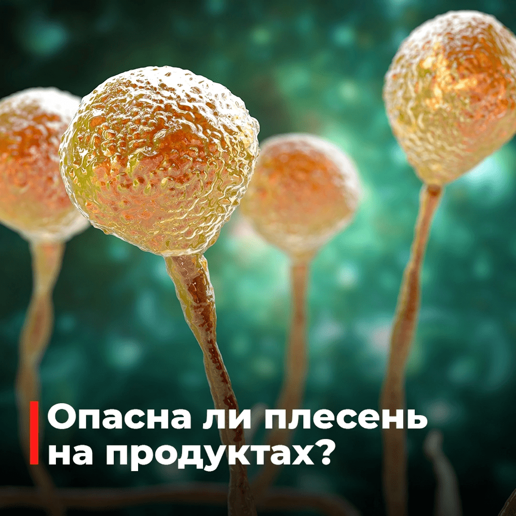 Плесень на продуктах