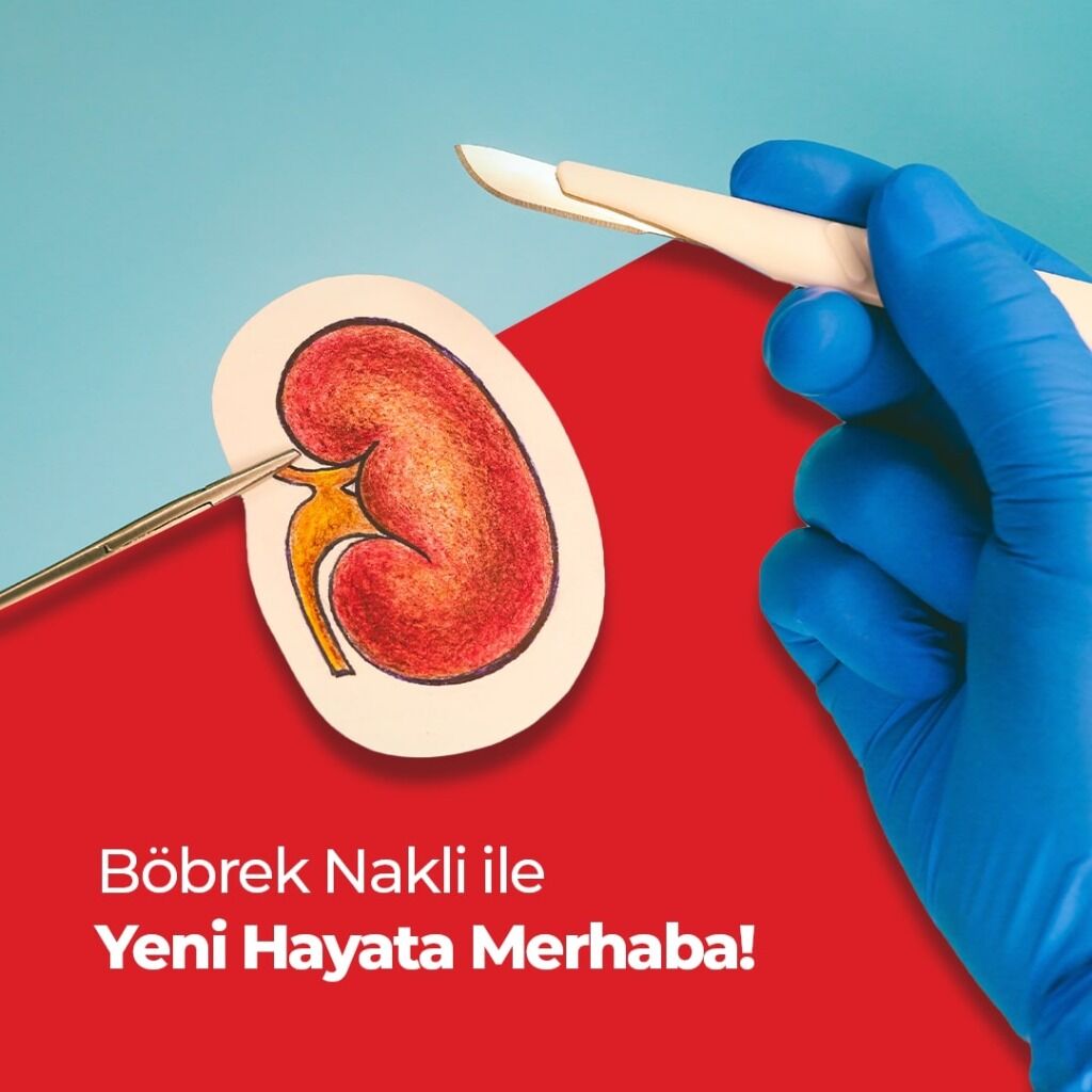 B&ouml;brek Nakli