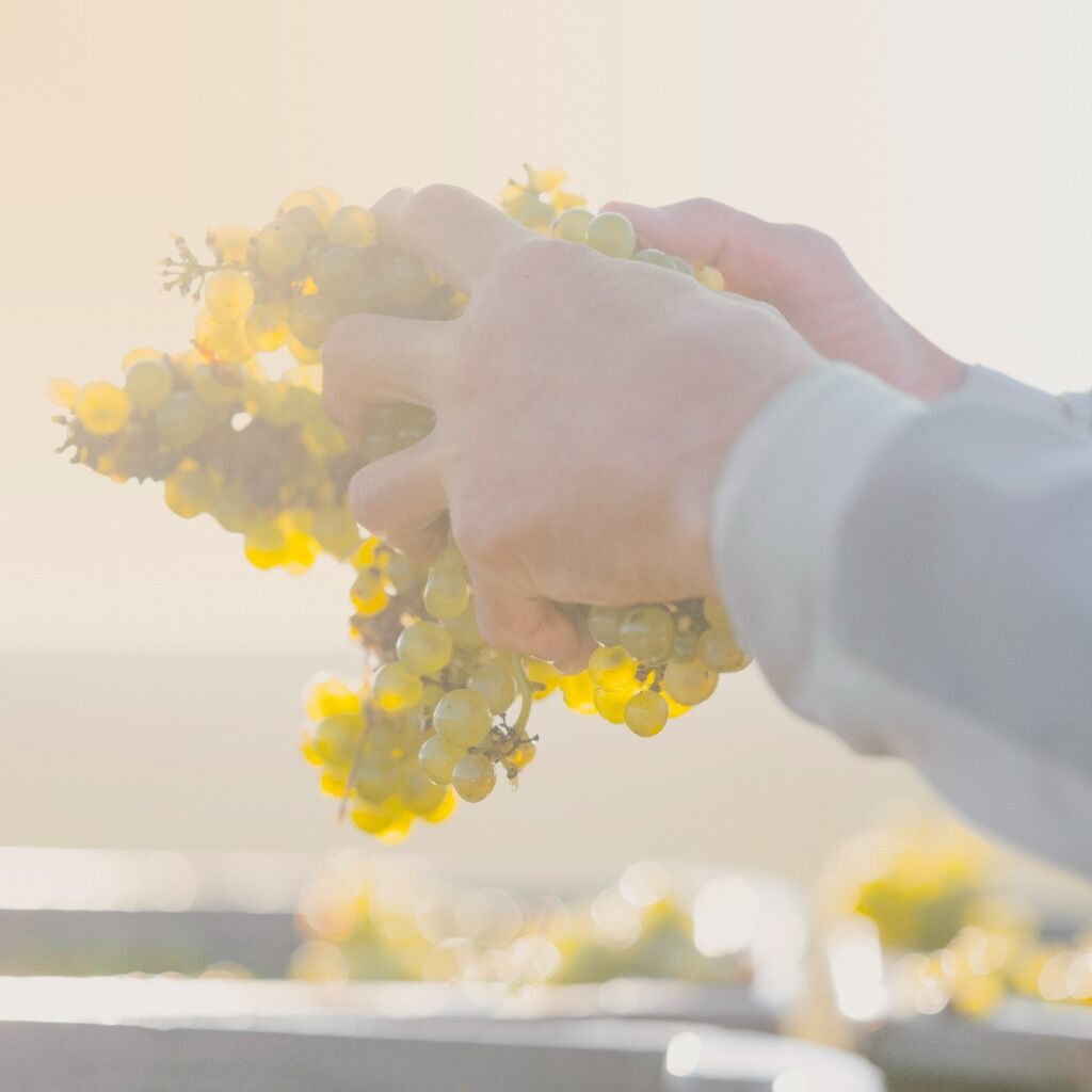 Find out about our commitment to transparency
