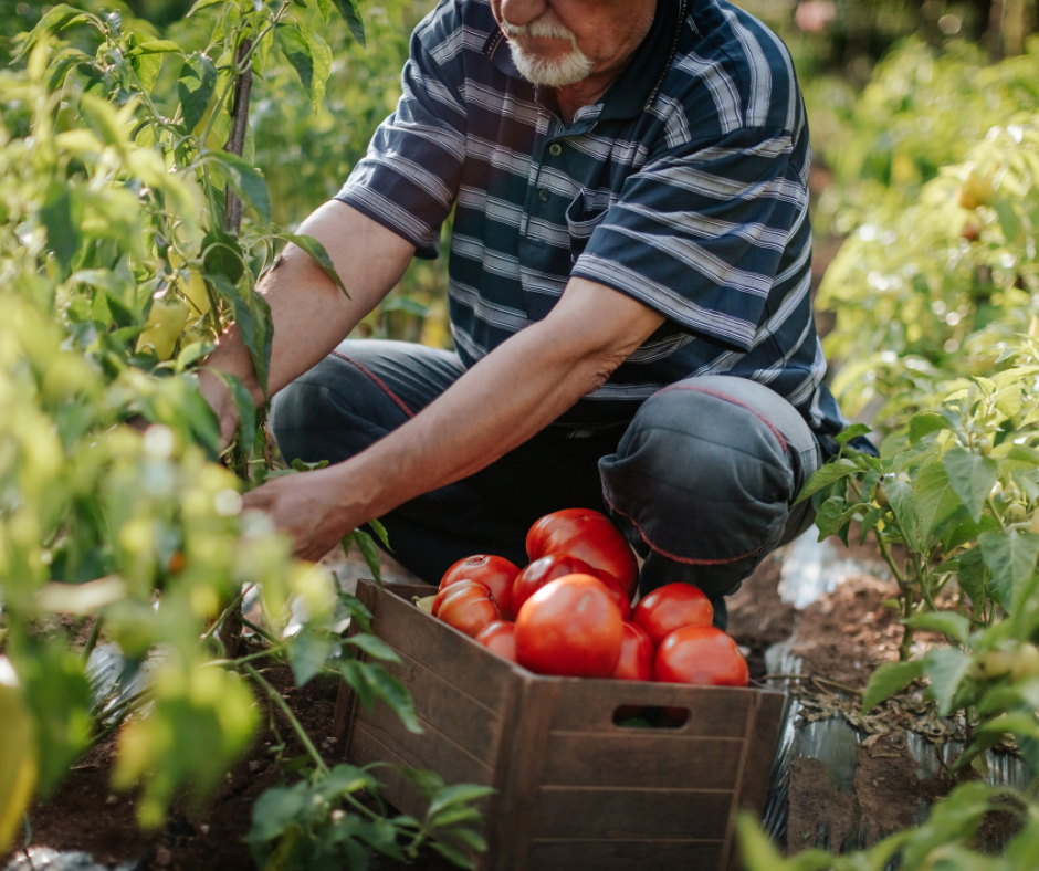 New Path to Permanent Residency for Undocumented Workers in Canada￼