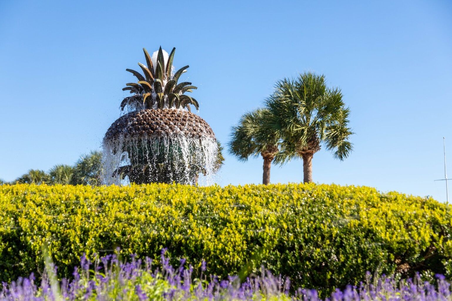 CHS Pineapple Fountain 