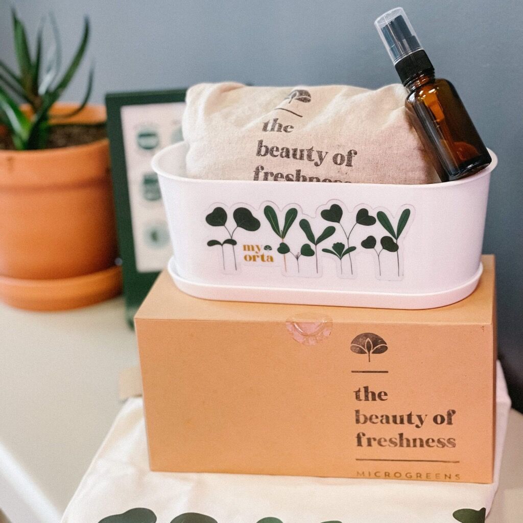 Sustainable Gift Ideas