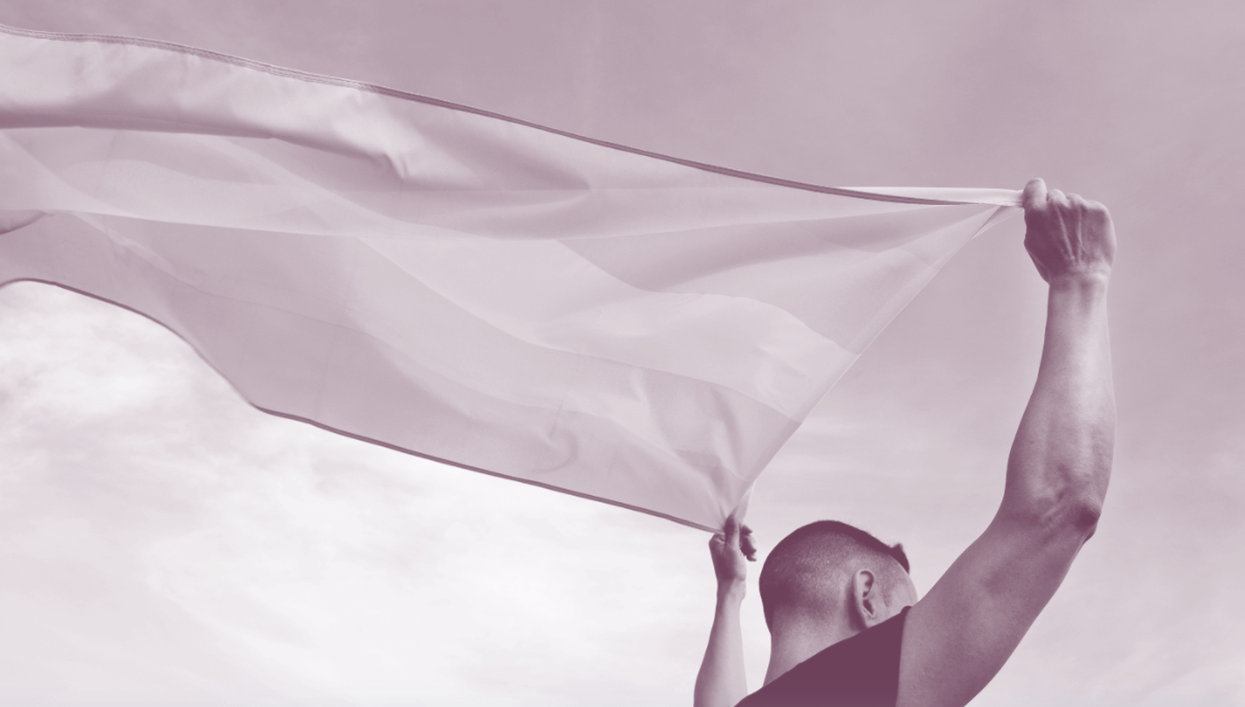 TransHealth Donation Link