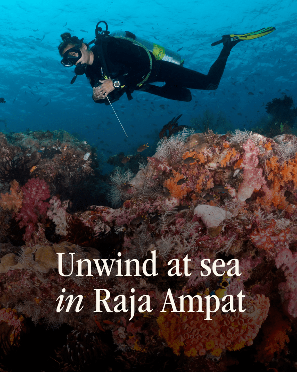 7 days to unwind at sea in Raja Ampat