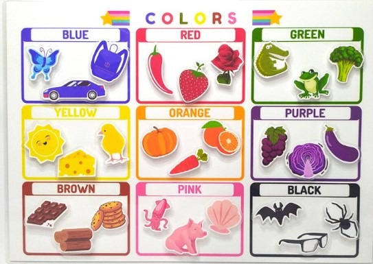 Shopee: Color Activity Laminated