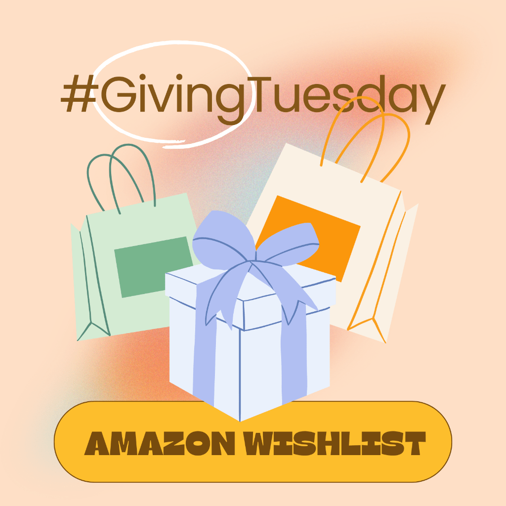 💝 #GivingTuesday: Amazon wishlist