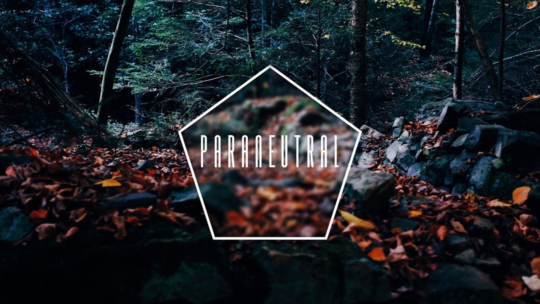 Paraneutral Records Youtube
