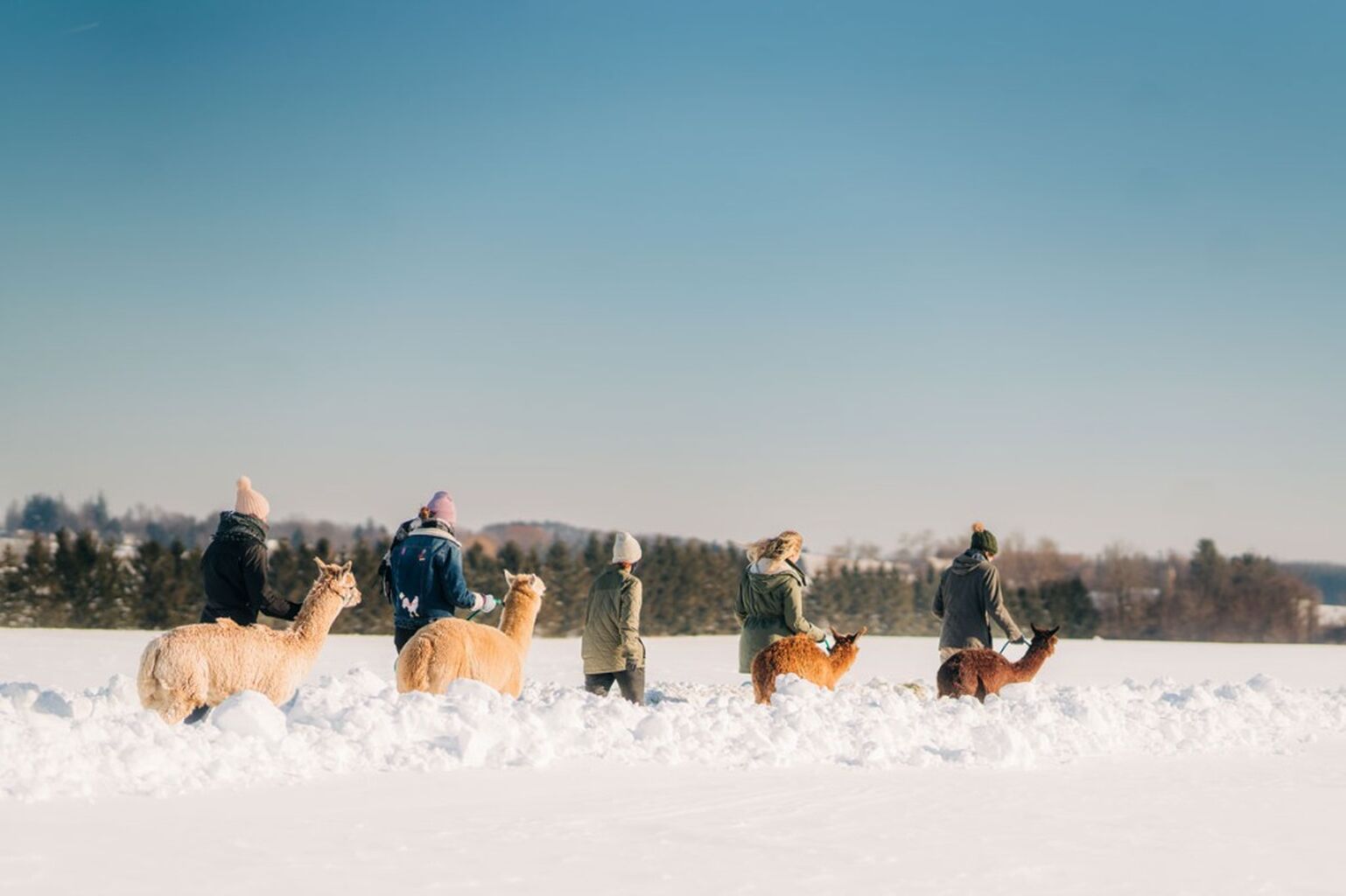 Expereience Winter Along the Oxford County Cheese Trail