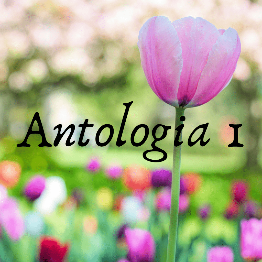 Editora Uiclap - Antologia Meu Jardim Poemas e Poesias Florescer Volume I