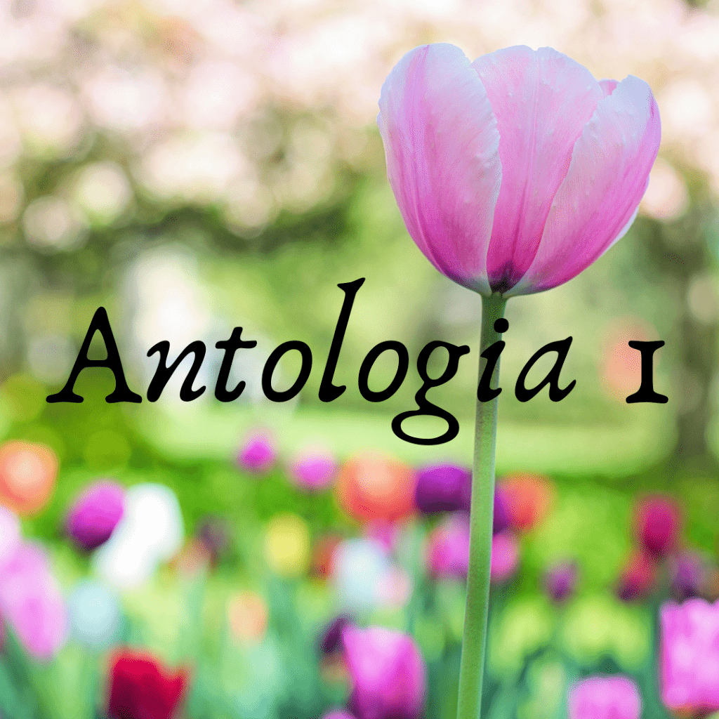 Amazon - Antologia Meu Jardim Poemas e Poesias Florescer Volume I 
