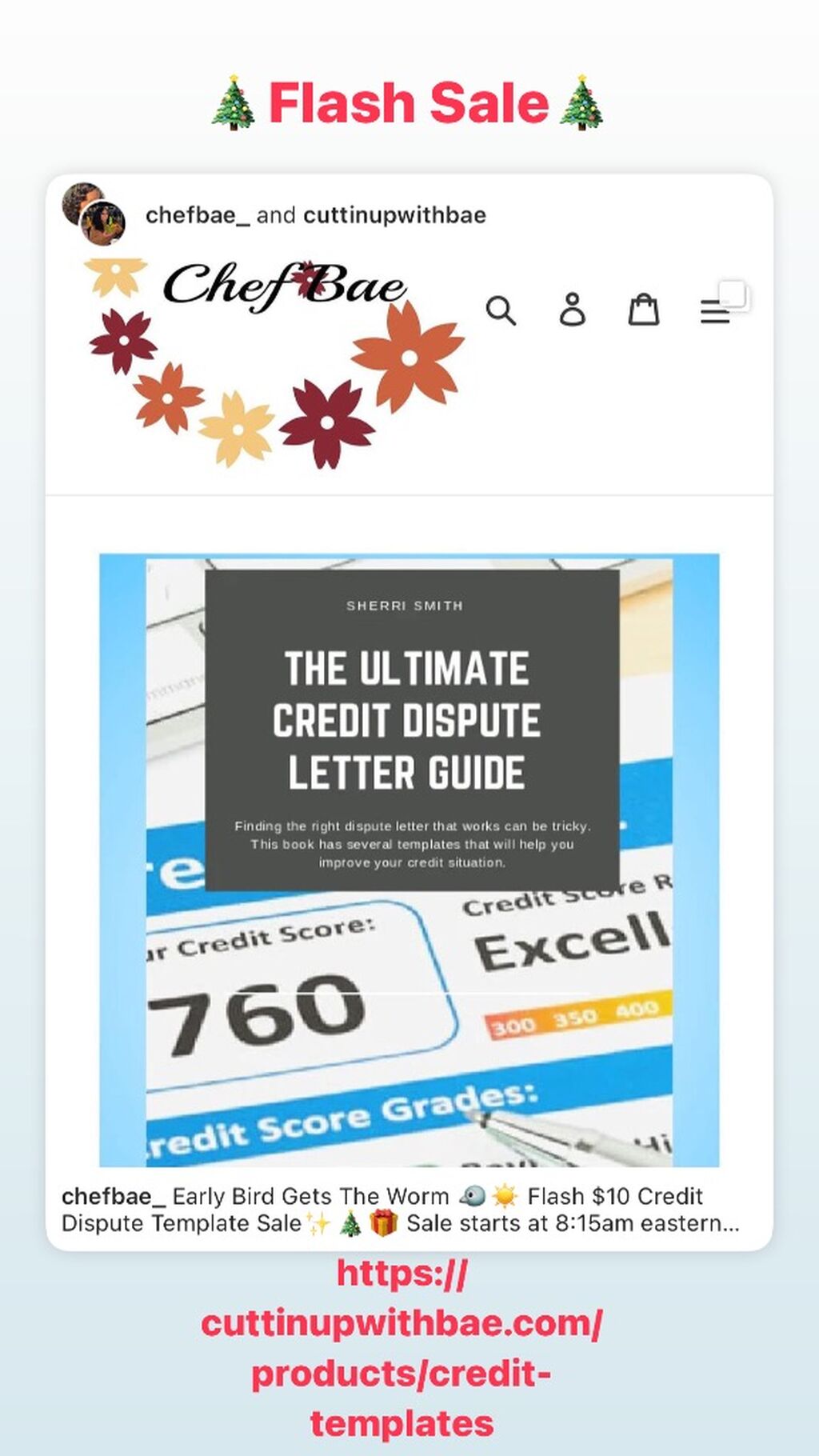  Credit Dispute Templates (30+ pages)