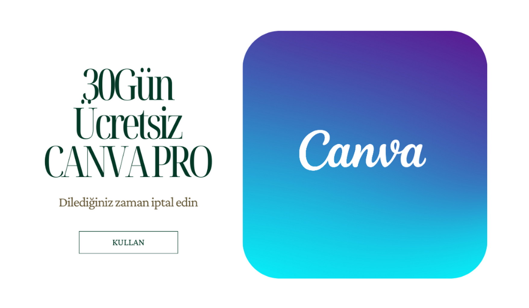 30G&uuml;nCanvaPro
