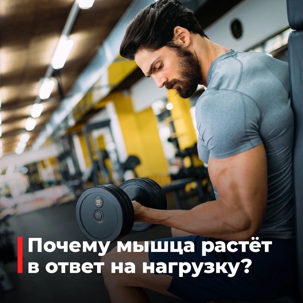 Гипертрофия
