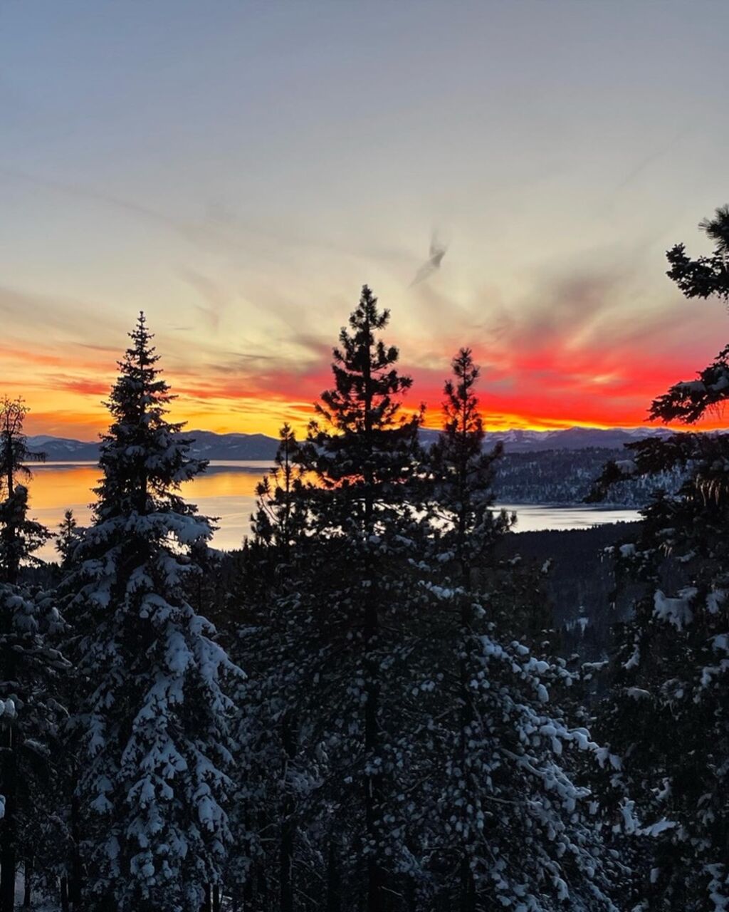 Complete Guide to Skiing in California 