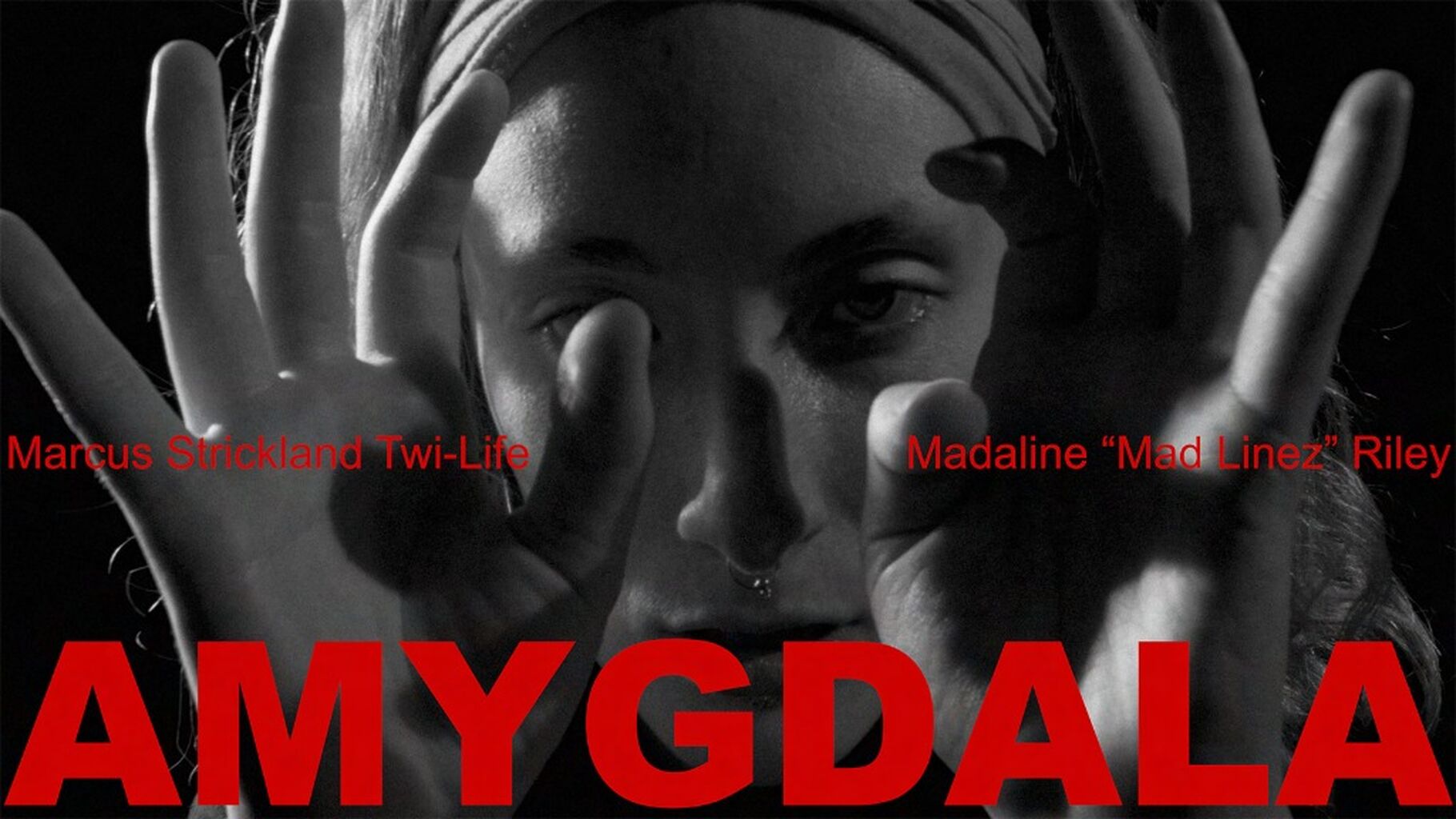 AMYGDALA [watch] @ YouTube