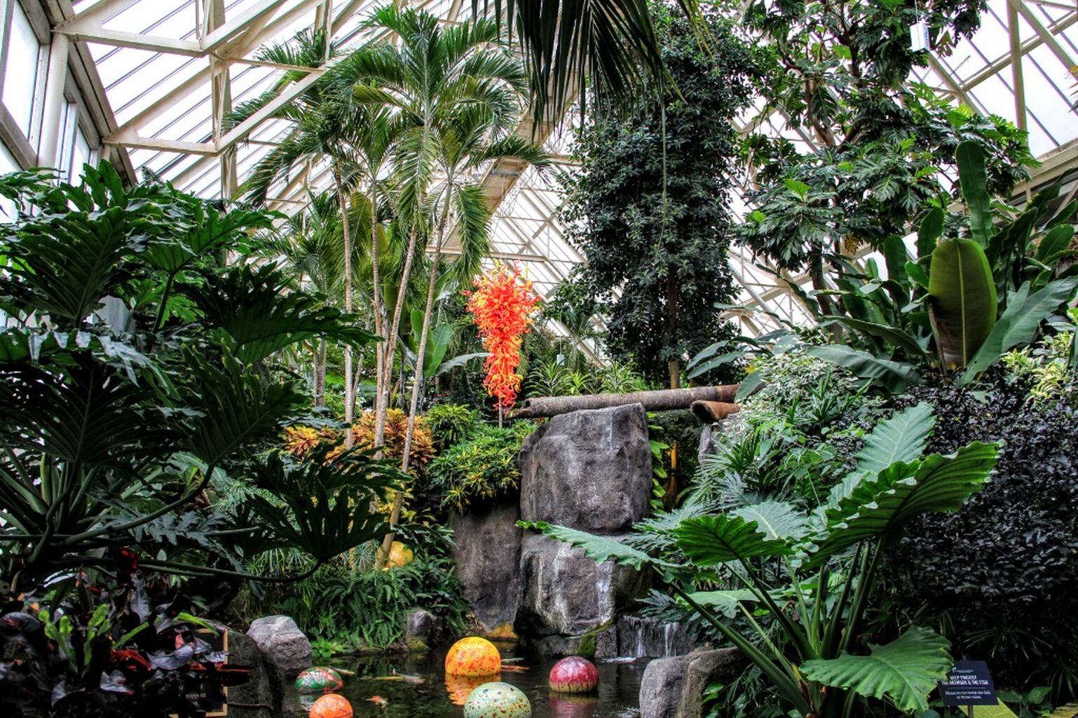 EXPLORE THE BIOMES