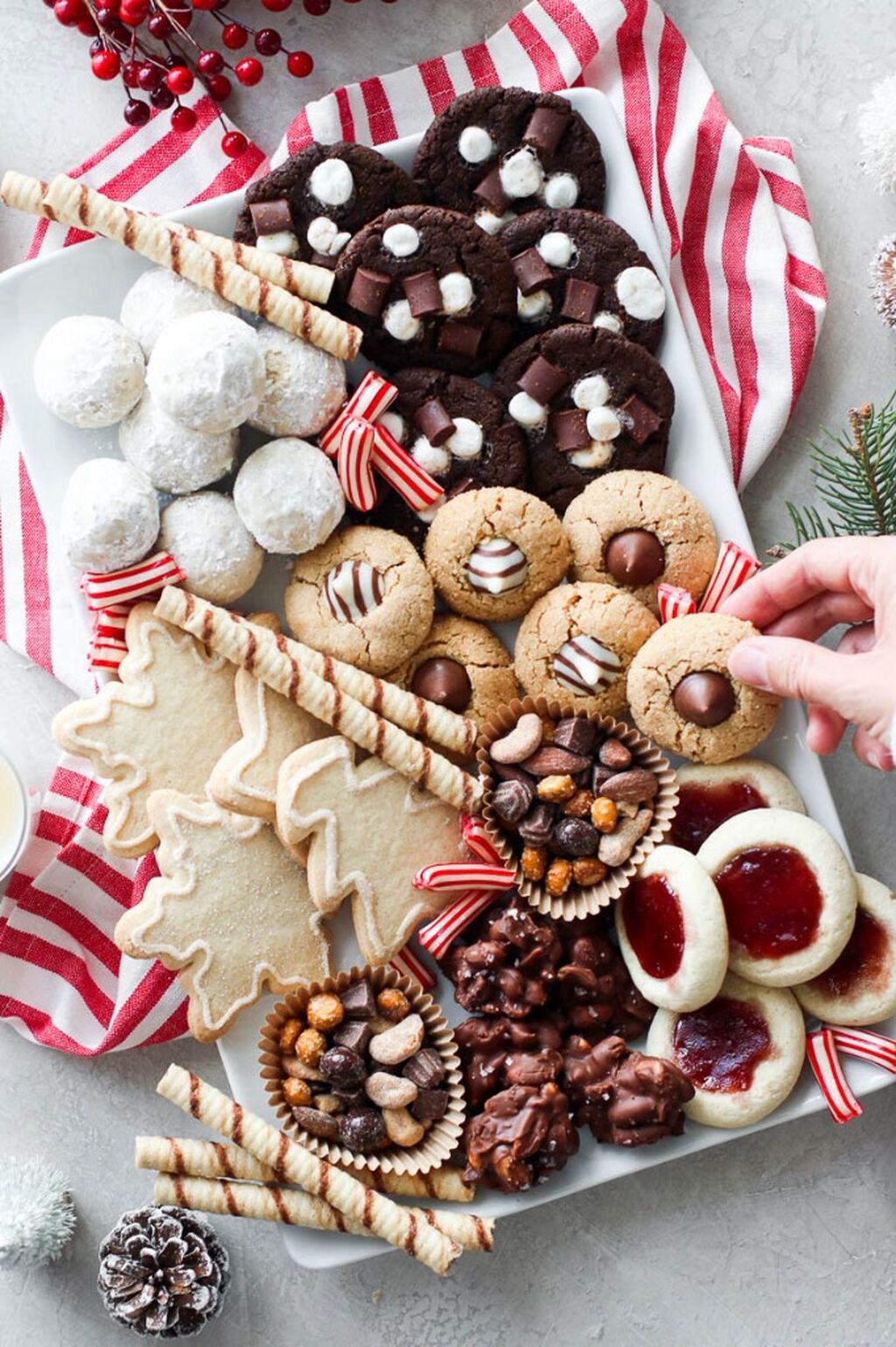 20 Christmas Cookies (Reel)