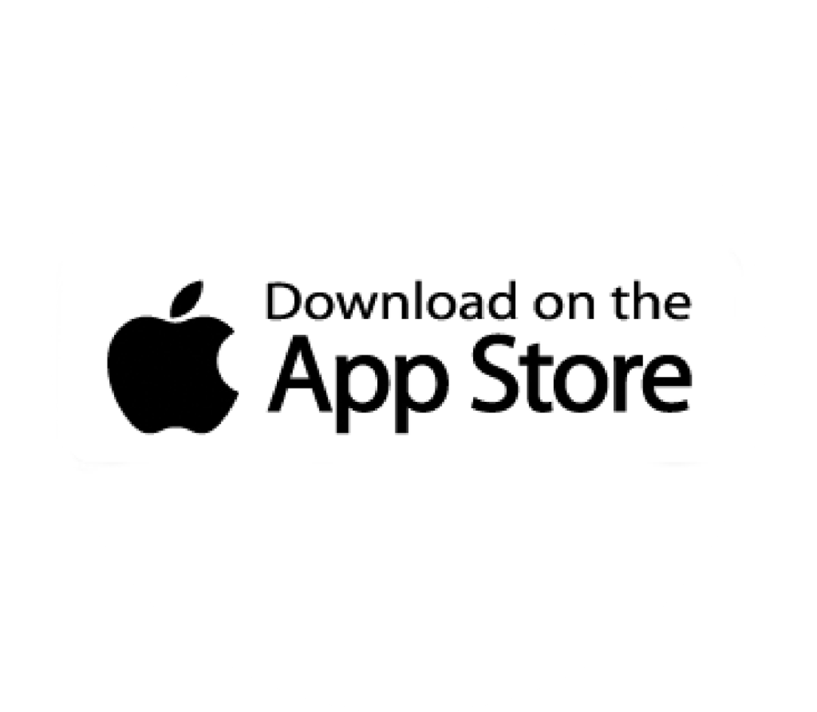 Wish Car Rental Lnk.Bio · link in bio