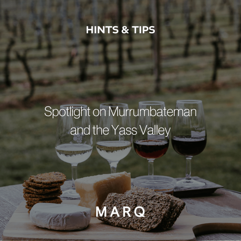 MARQ Insights