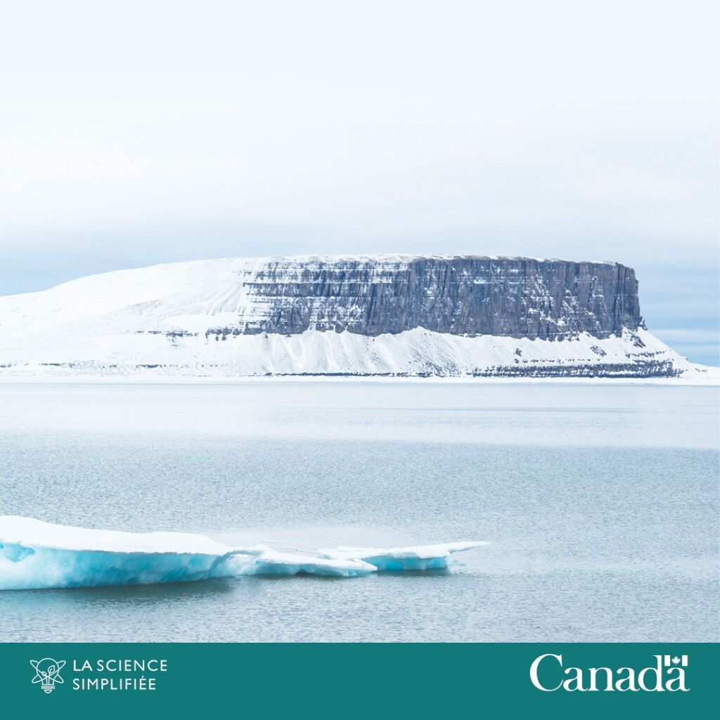Arctique