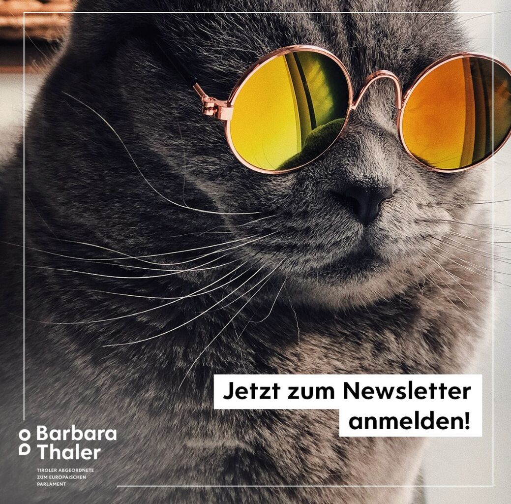 Zum Newsletter anmelden 