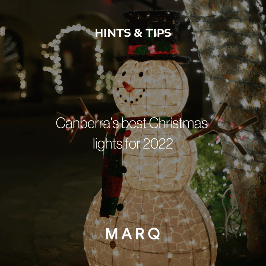 MARQ Insights