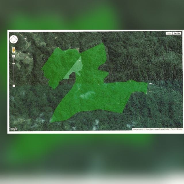 APAZ ZiZo