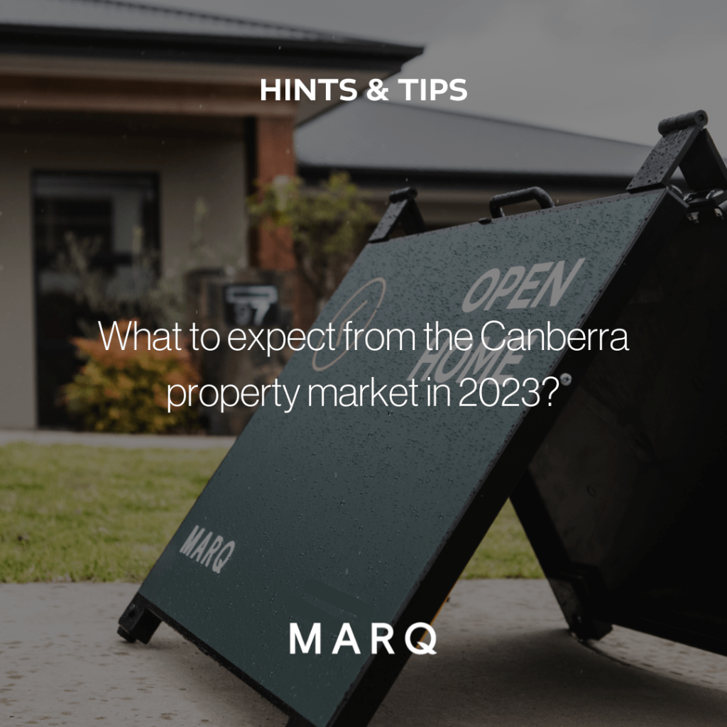 MARQ Insights