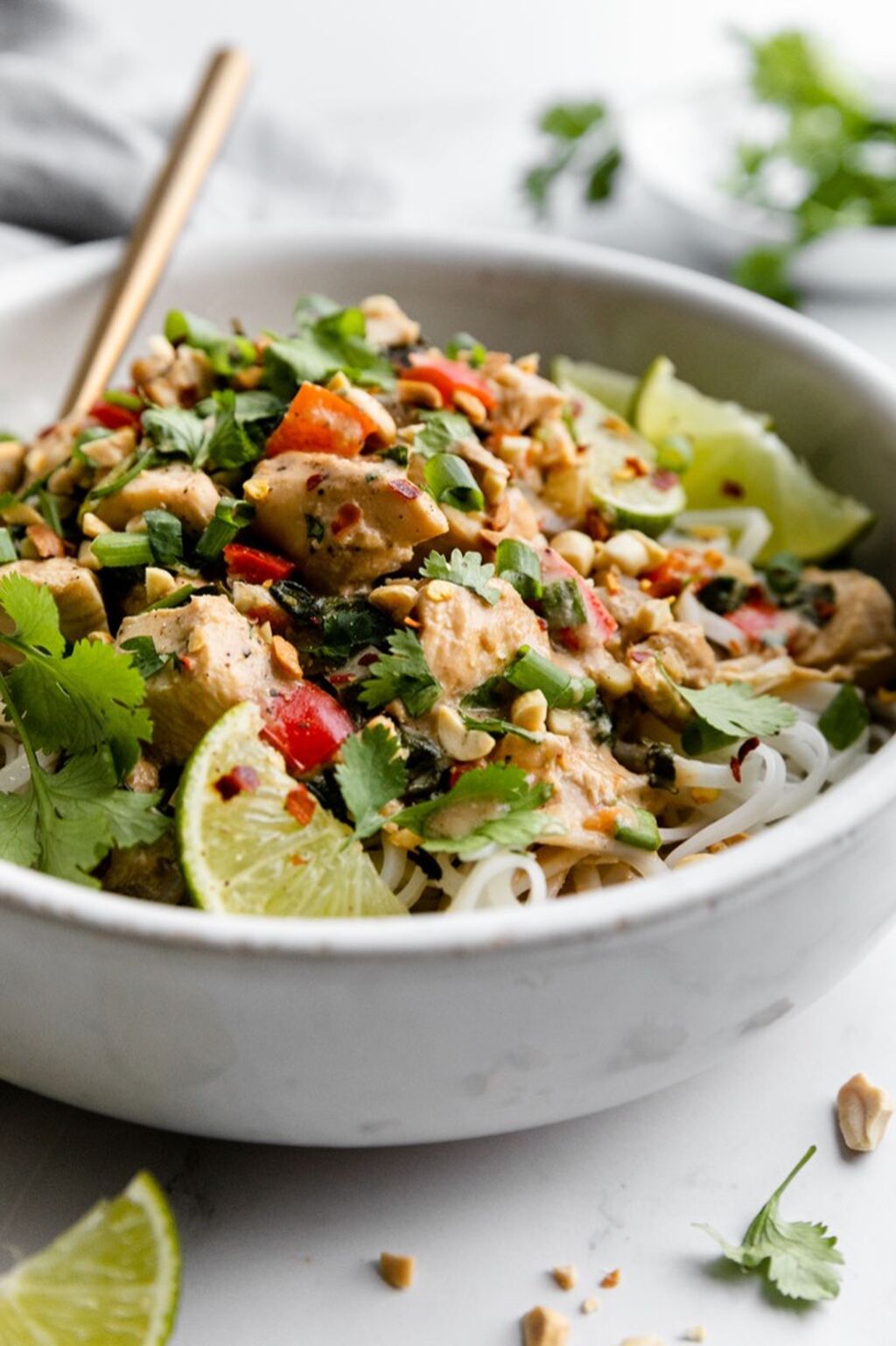 Slow Cooker Thai-Inspired Peanut Chicken