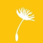 web - Specialisterne M&eacute;xico