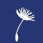 Blog - Noticias y art&iacute;culos