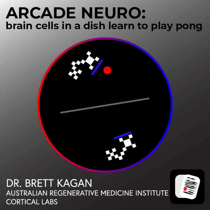 45. Arcade Neuro: brain cells in a dish learn to play Pong