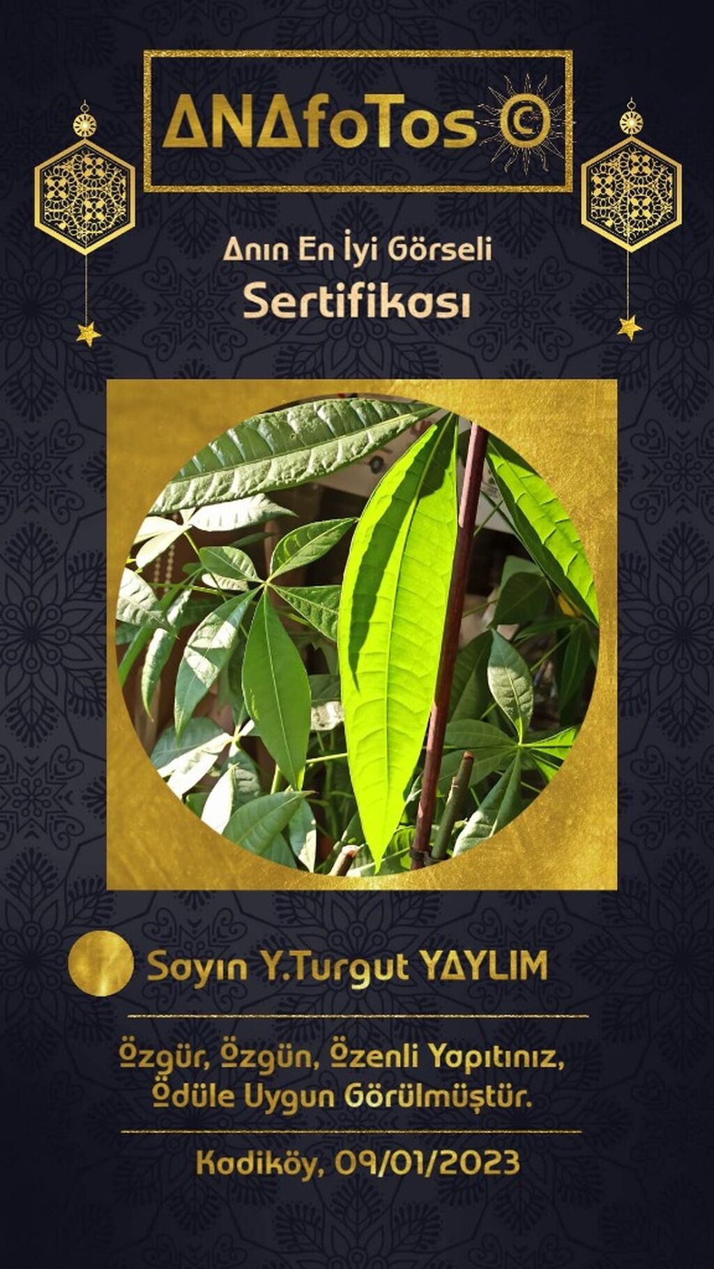 AFS -&Ouml;D&Uuml;LLERİ