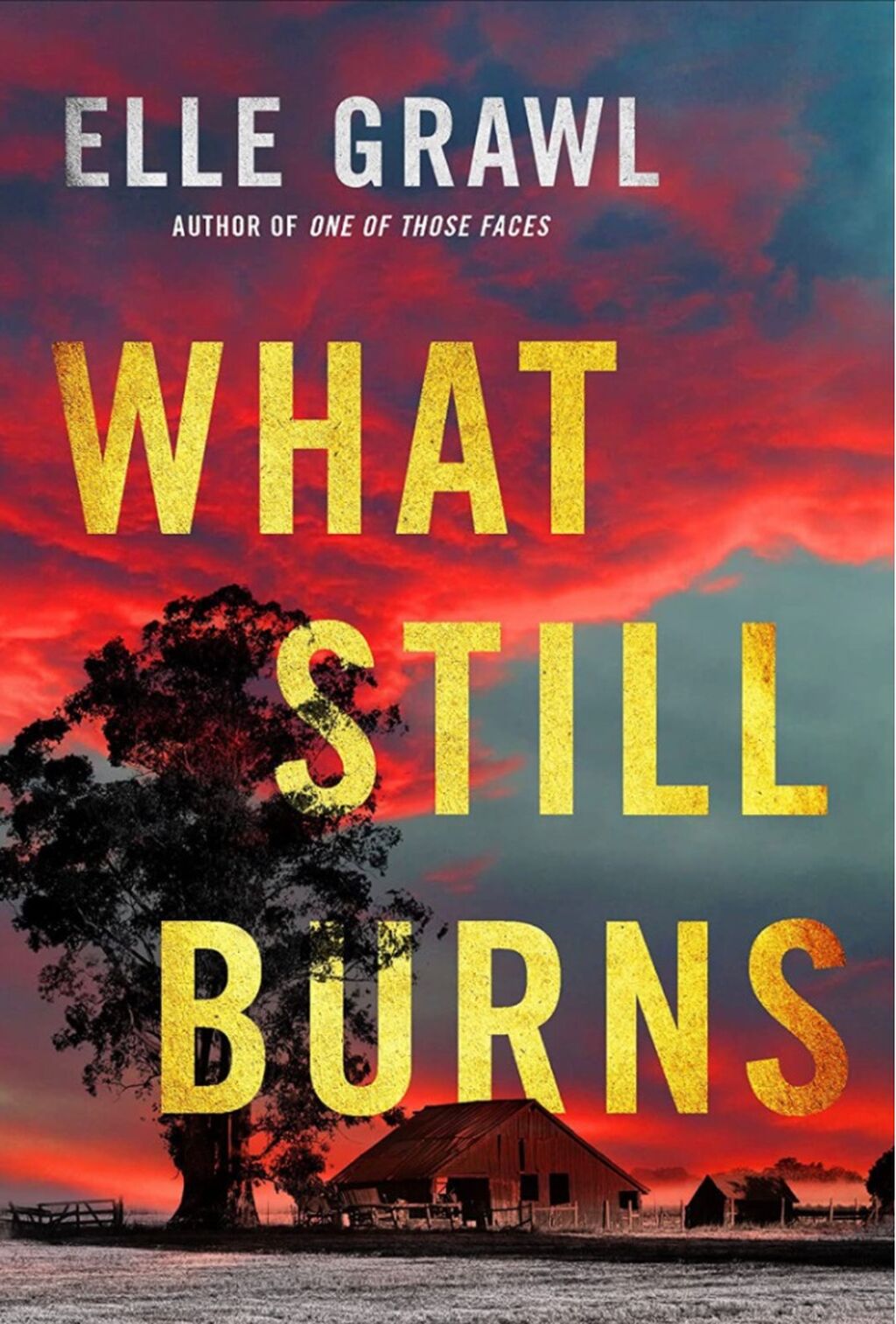 Order WHAT STILL BURNS by Elle Grawl