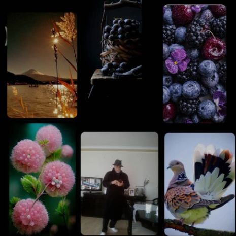 AFS- &Ccedil;İ&Ccedil;EK FOTOS