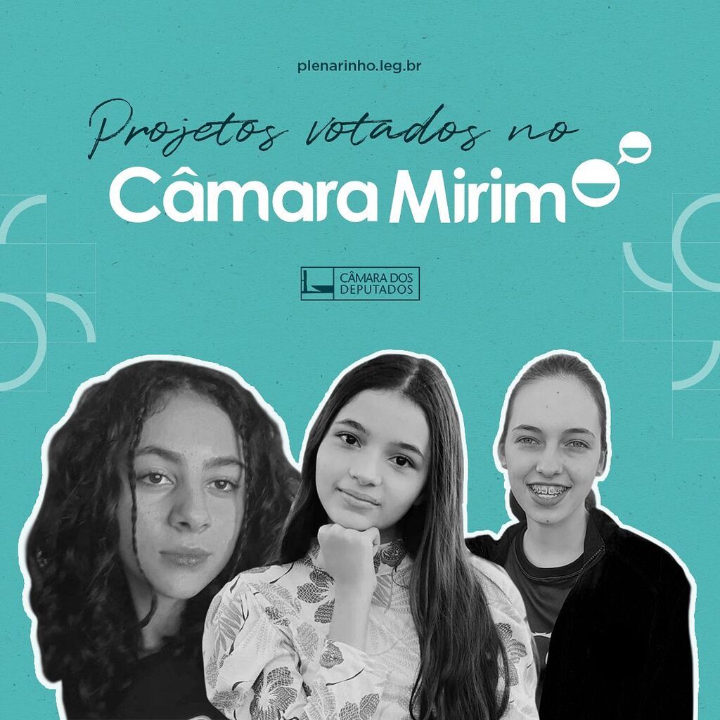 C&acirc;mara Mirim