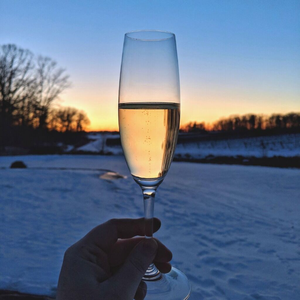 The Niagara Grape & Wine Festival is here! 🍷✨