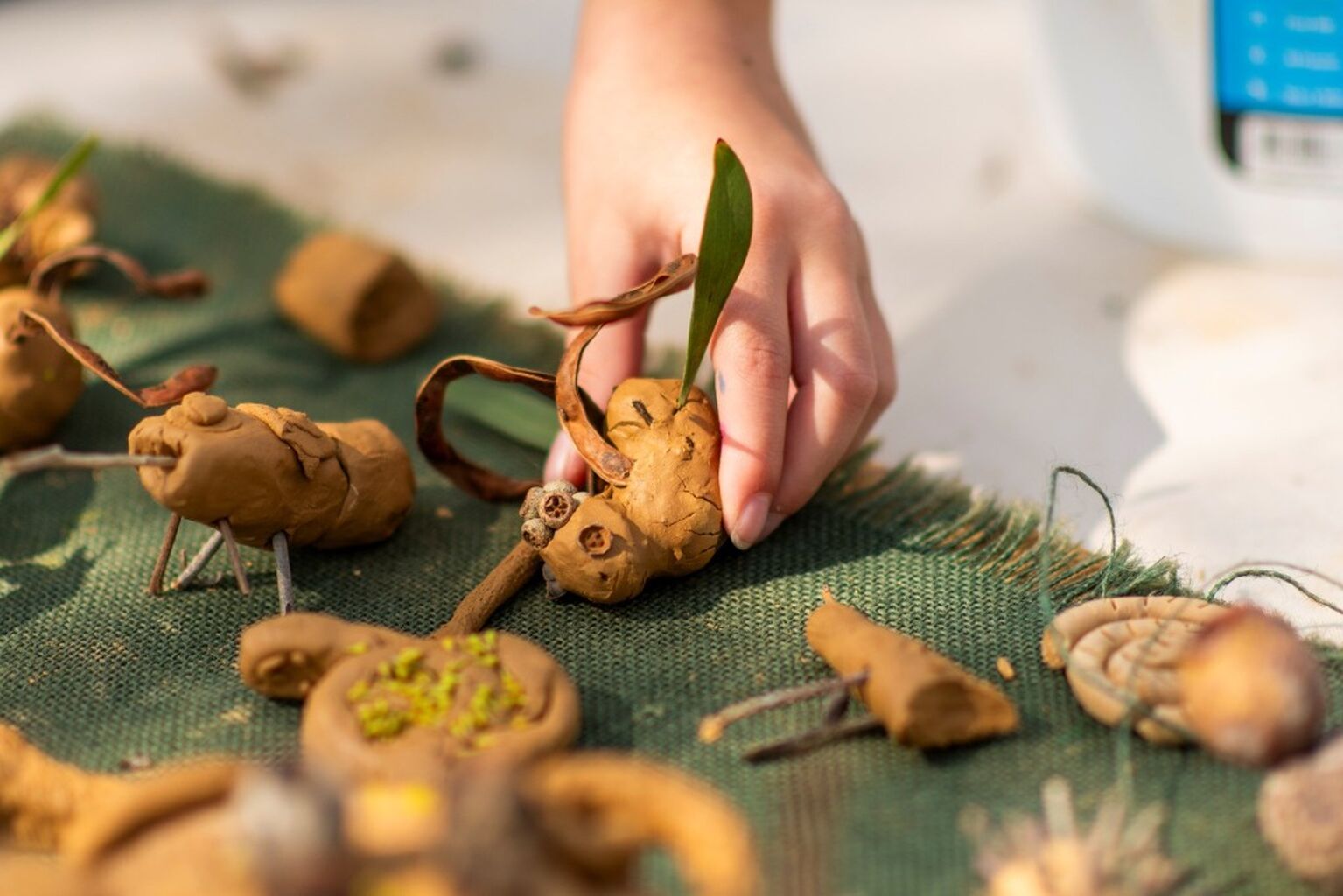 Nature Play at Cranbourne Gardens