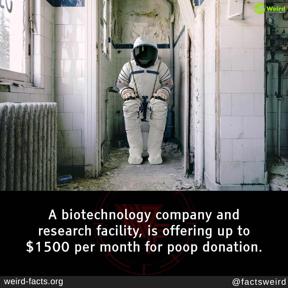 You Could Earn Up to $1500 per Month for Donating Your Poop