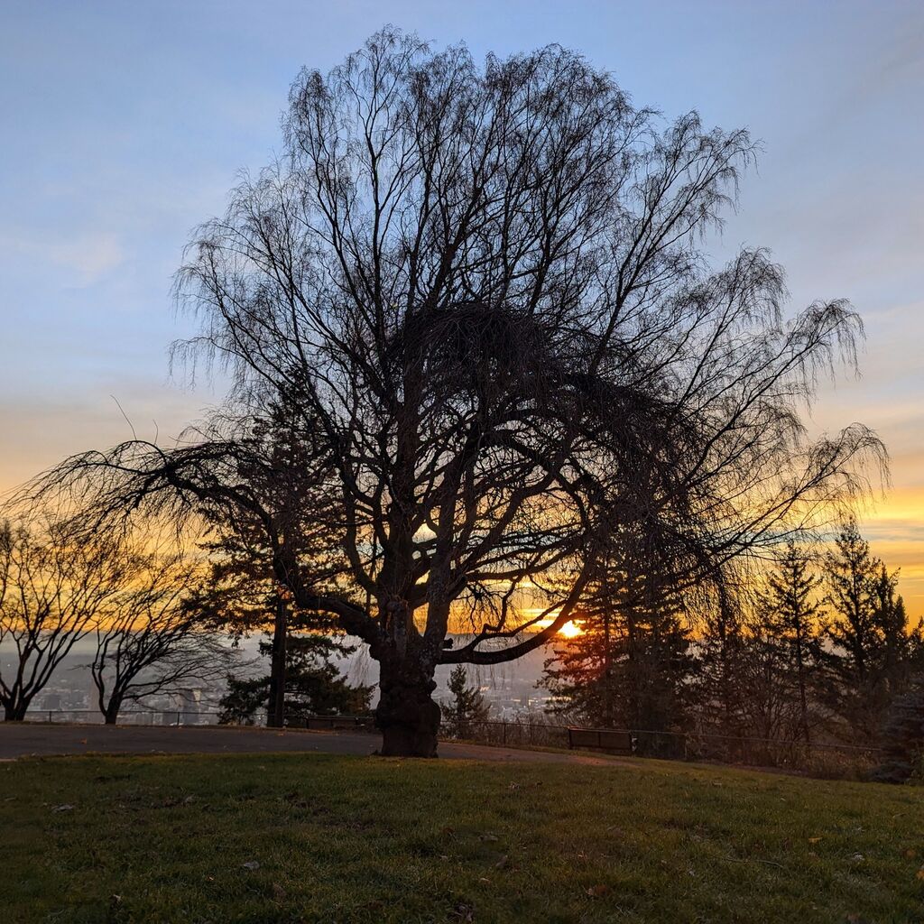 1/20/23 Sunrise Run
