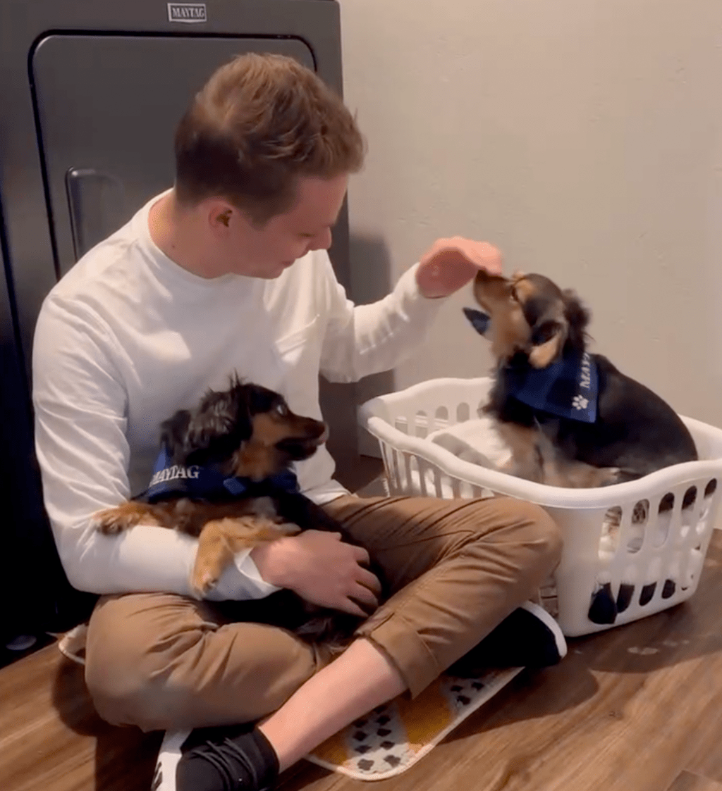 Maytag Pet Pro System